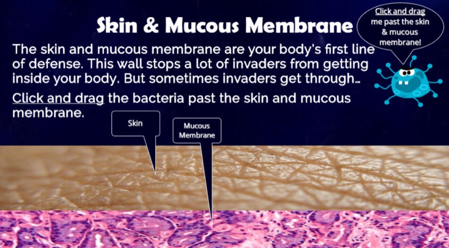 Guardians of Immunity