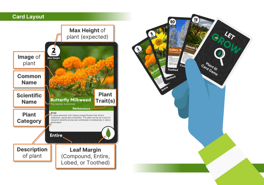 Let Grow Plant ID Card Game