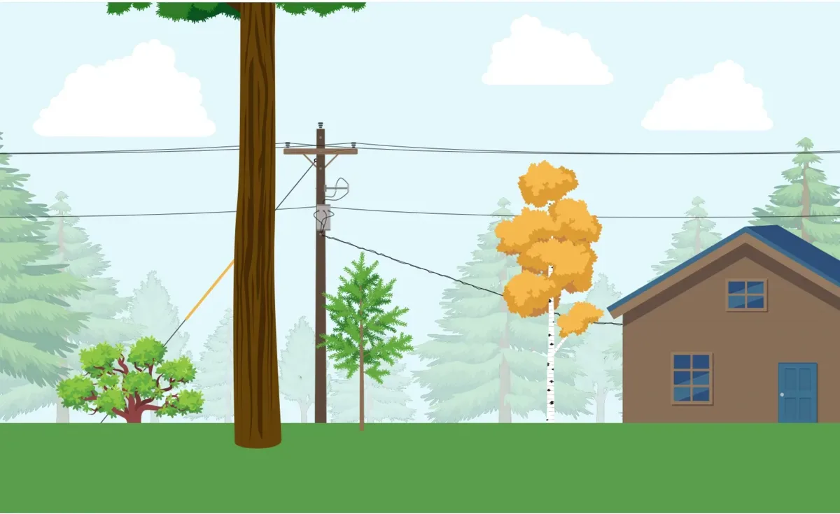 Utility Vegetation Inspection